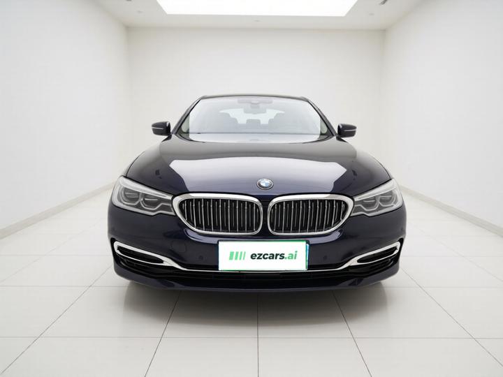 5 Series 2020 530Li Exclusive Luxury photo 2