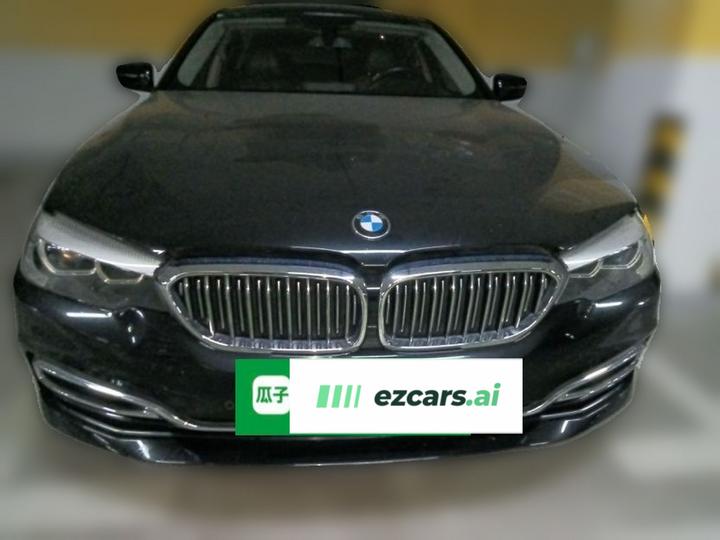 5 Series 2019 530Li Leading Luxury photo 2