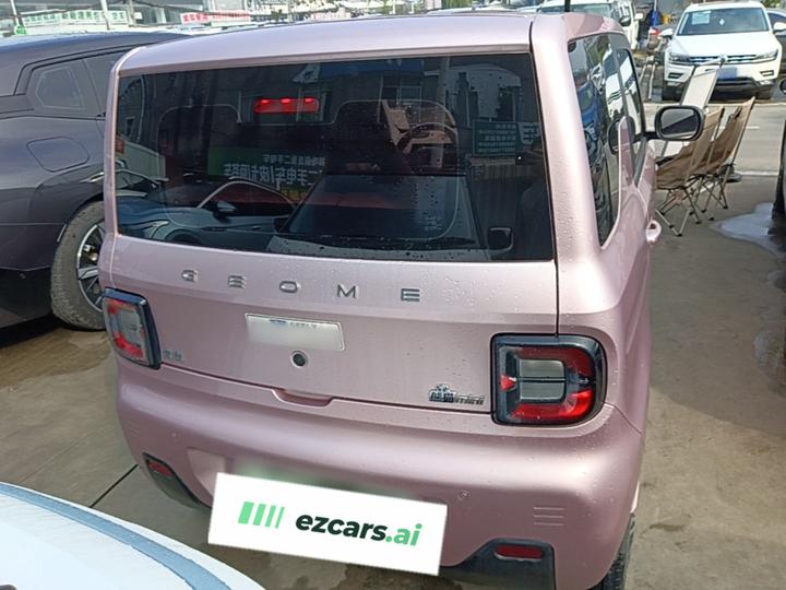 2023 Panda mini 200km Endurance Bear photo 3