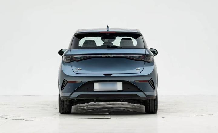 Dolphin 2025 ADAS 410km Fashion photo 4
