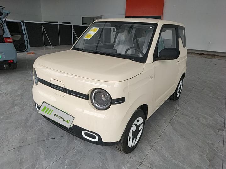 2025 Panda mini 210km Yuan