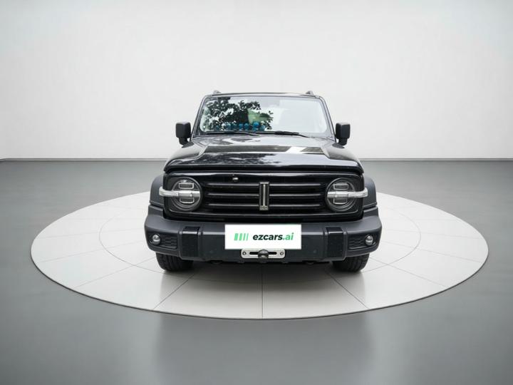 300 2021 Off-road 2.0T Conqueror photo 2