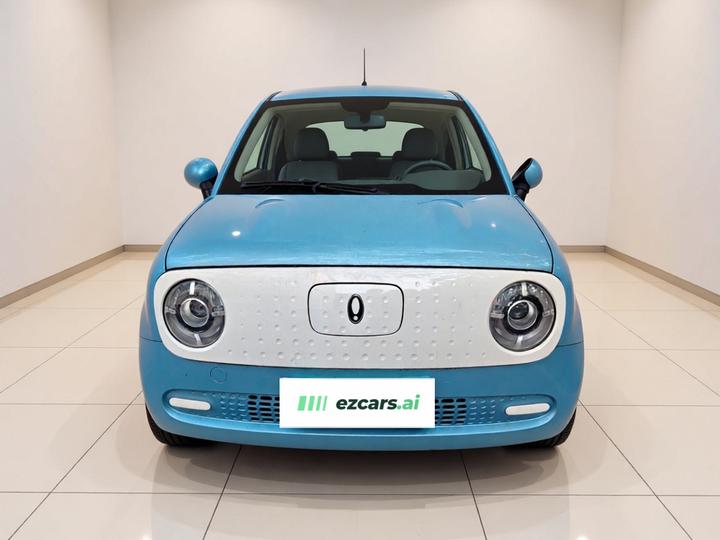 2022 Facelift 301km LFP photo 2
