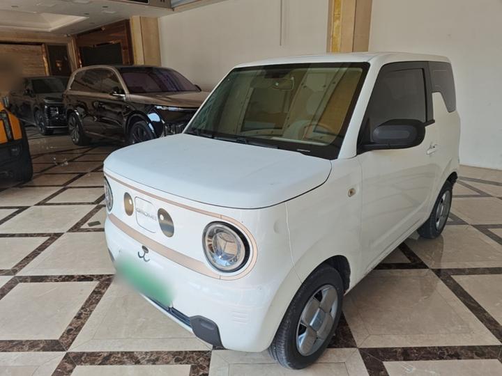 2023 Panda mini 200km Endurance Bear