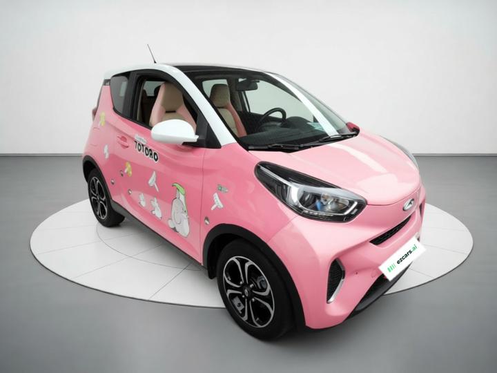 QQ Little Ant 2021 20 NCM 301km photo 3