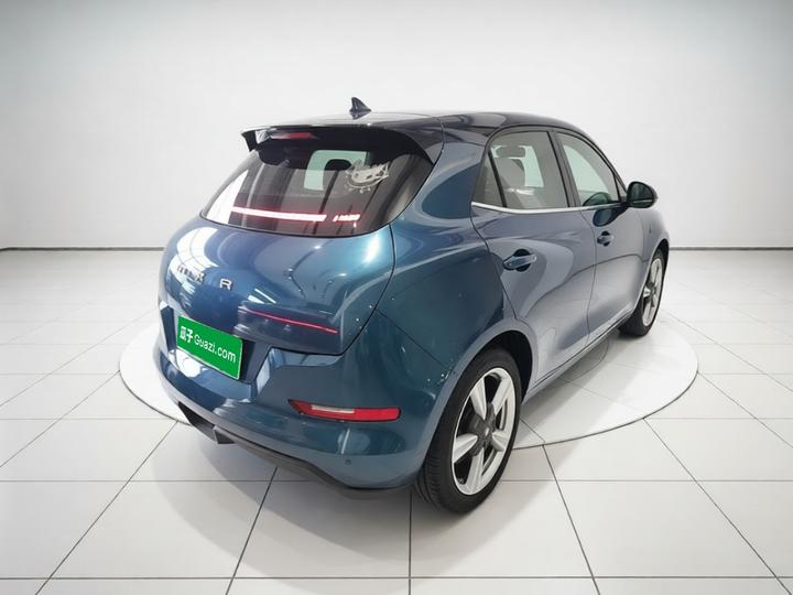 Good Cat 2021 400km Standard Range LFP photo 6