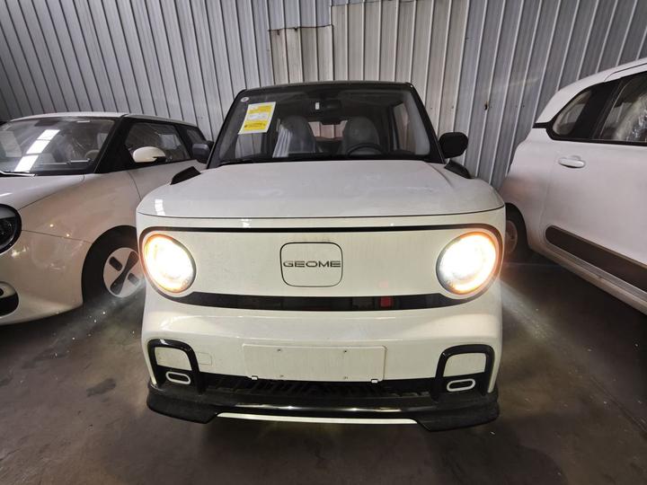 2025 210km Panda photo 2