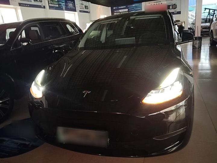 Model Y 2021 Long Range AWD photo 2