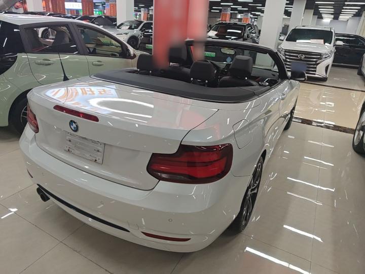 2 Series Imported 2019 225i Convertible Coupe Sport Design Package photo 6