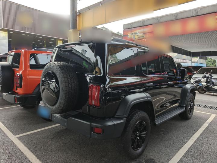 300 2021 Off-road 2.0T Conqueror photo 4