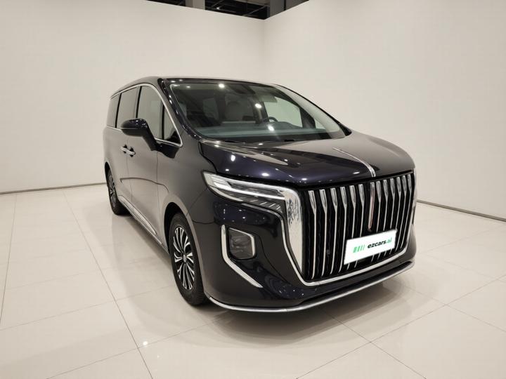 HQ9 PHEV 2024 2.0T AWD Business photo 3