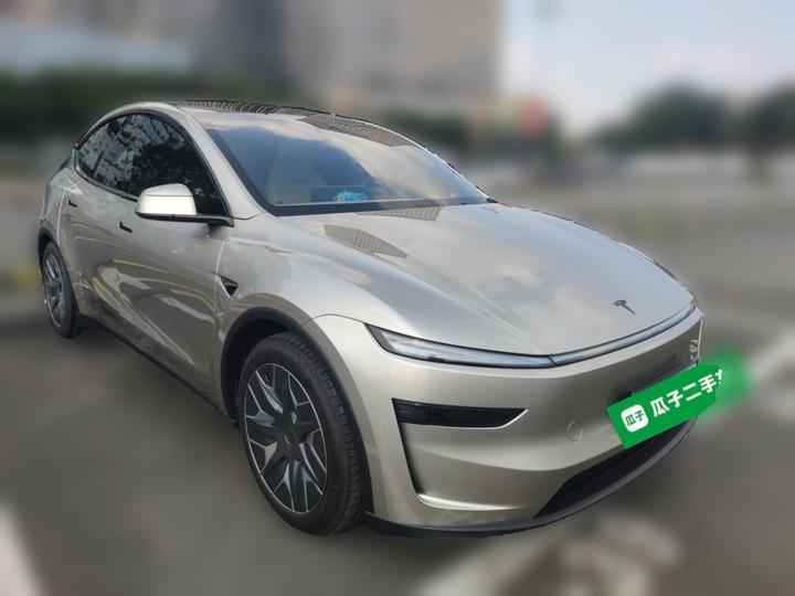 Model Y L 2025 Long Range AWD photo 3
