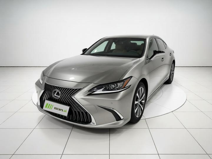 ES 2018 300h Excellence China VI