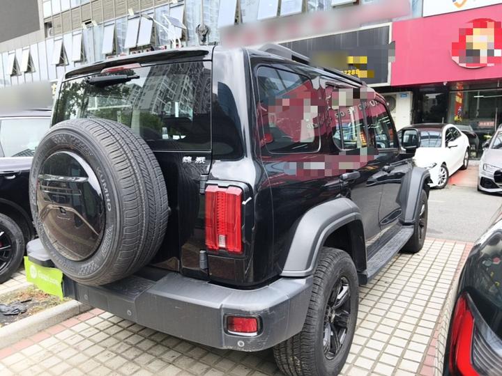 300 2021 Off-road 2.0T Conqueror photo 6