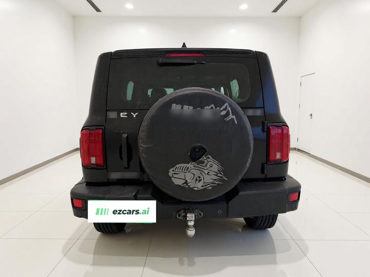 300 2021 Off-road 2.0T photo 5
