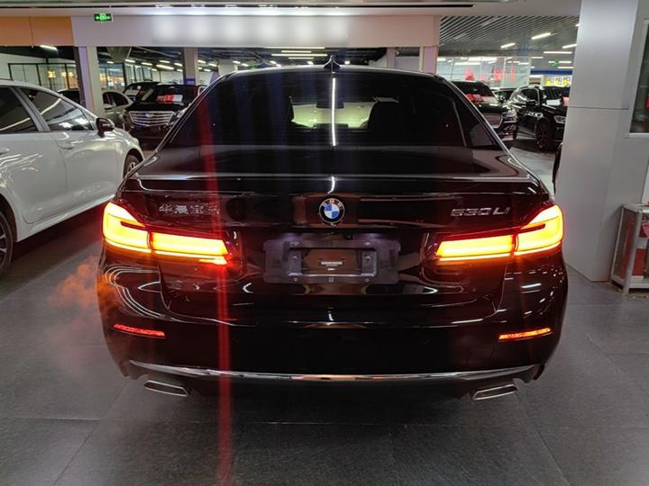 5 Series 2021 Facelift 530Li Exclusive Luxury photo 3