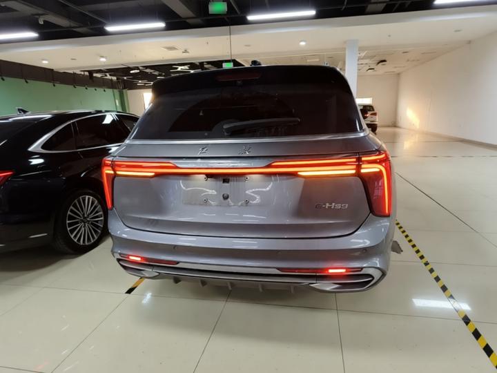 E-HS9 2021 510km 6-Seater photo 3