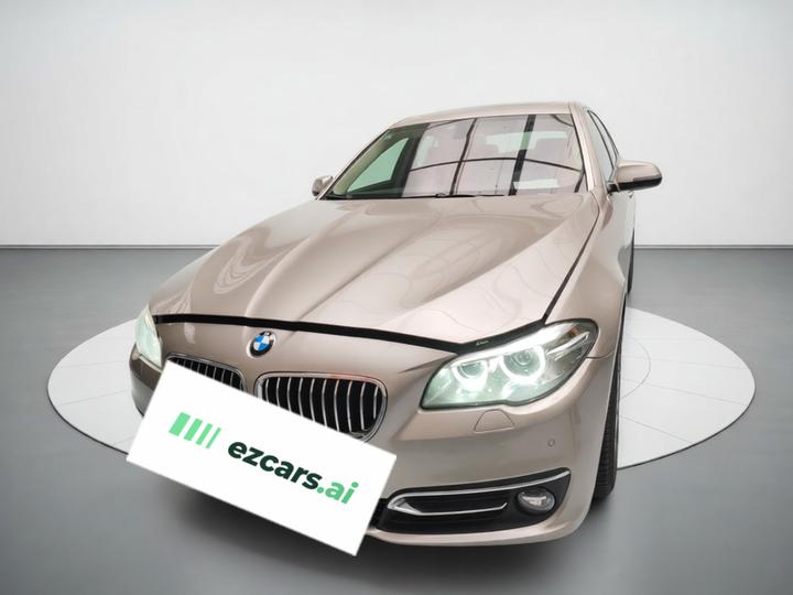 5 Series 2017 525Li Luxury Design Package photo 2