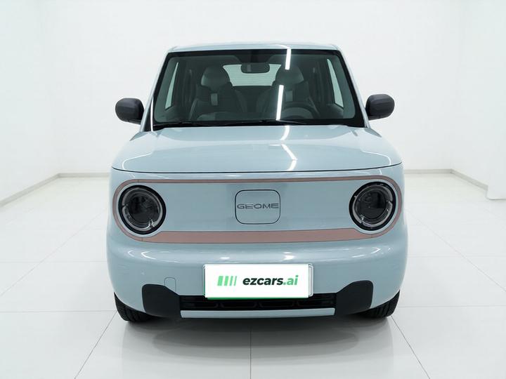 2024 Panda mini 200km Endurance Bear photo 2