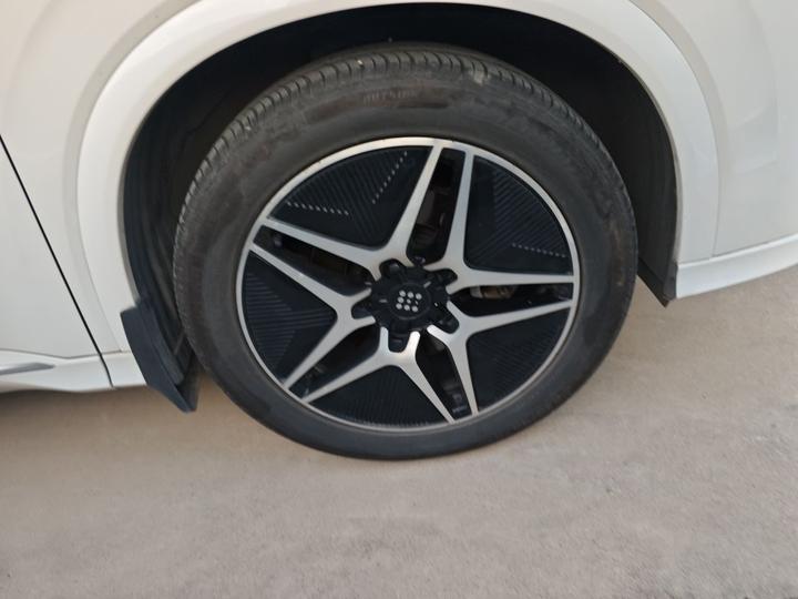 Bluelectric E5 2023 1.5L DE-i 100KM 7-Seater photo 8