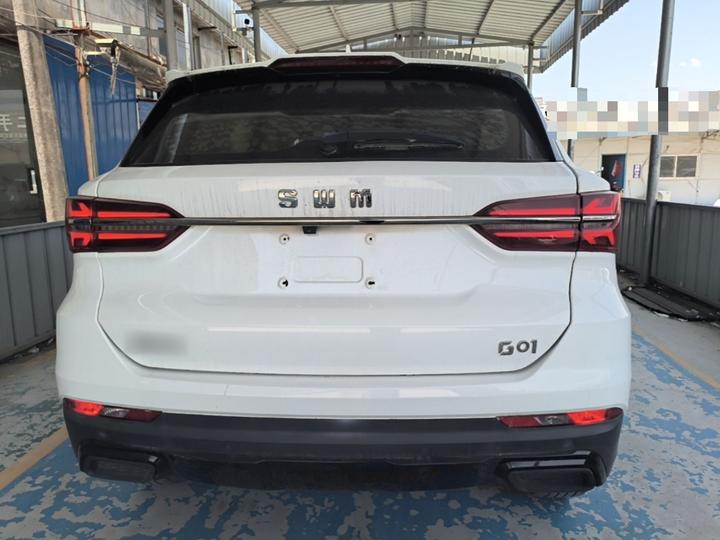 SWM G01 2021 2.0L MT photo 3