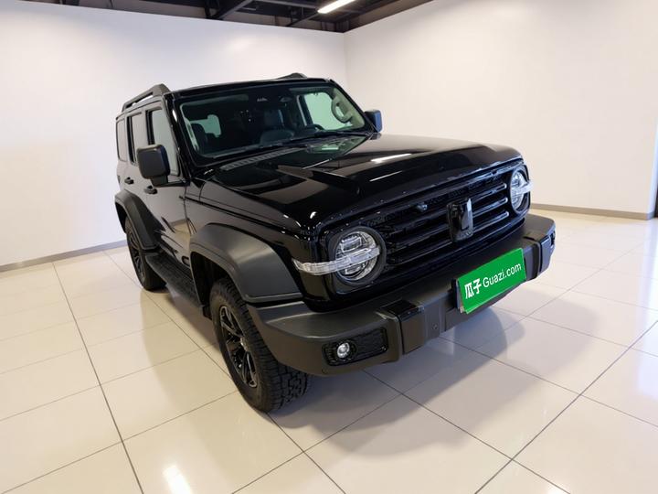 300 2021 Off-road 2.0T Conqueror photo 3