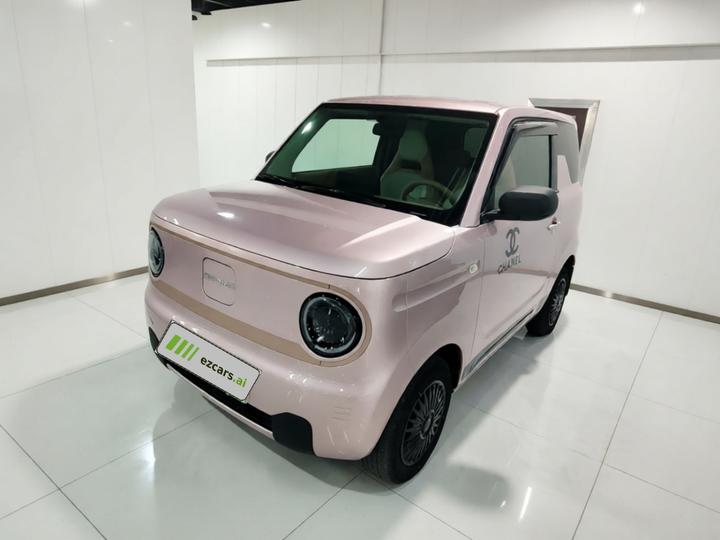 2024 Panda mini 200km Endurance Bear