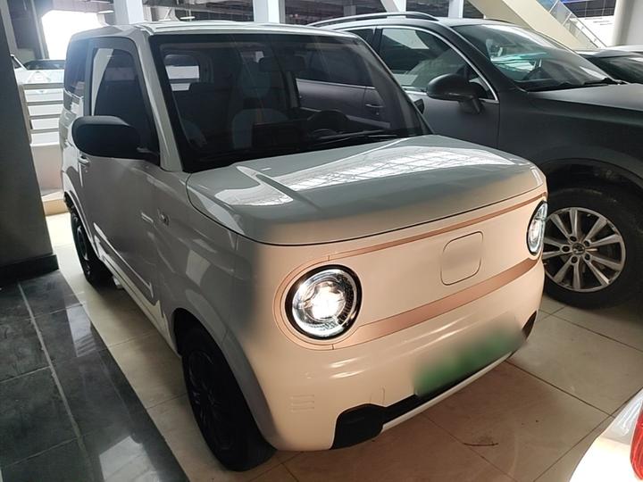 2023 Panda mini 200km Endurance Bear photo 3