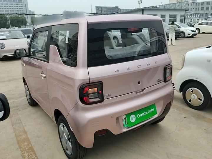 2024 Panda mini 200km Endurance Bear photo 4