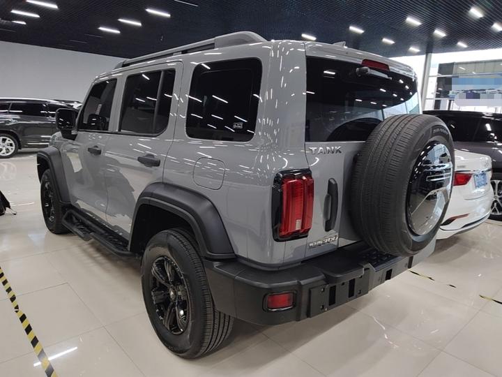 300 2021 Off-road 2.0T Conqueror photo 4