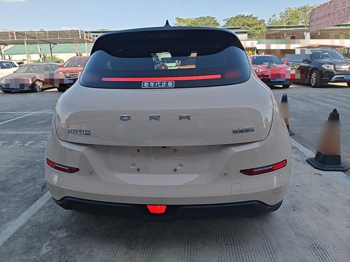 Good Cat 2021 400km Standard Range LFP photo 5