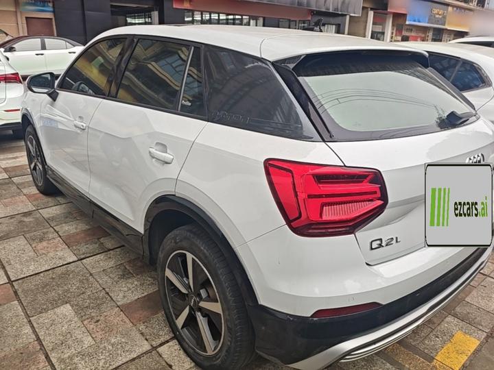 Q2L e-tron 2019 Q2L e-tron EV Smart photo 4