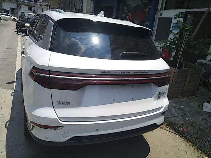 Song Pro EV 2019 EV Luxury photo 3