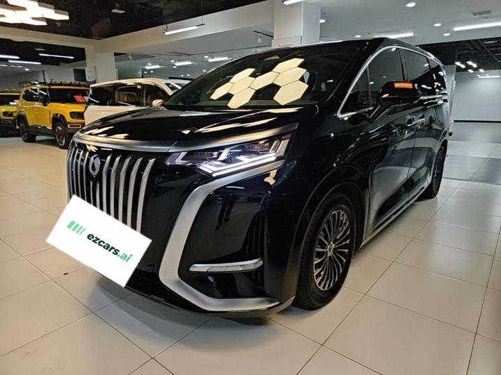 D9 2024 EV 600 AWD Premium