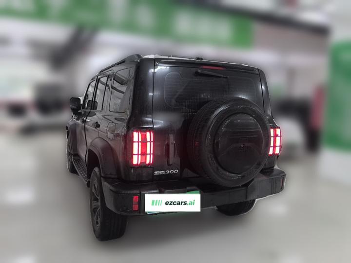 300 2024 2.0T Conqueror photo 4