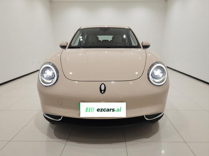 Good Cat 2022 400km Standard Range LFP photo 2