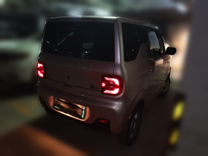2023 Panda mini 200km Endurance Bear photo 6
