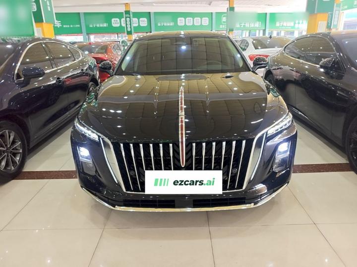 H5 PHEV 2025 170 photo 2