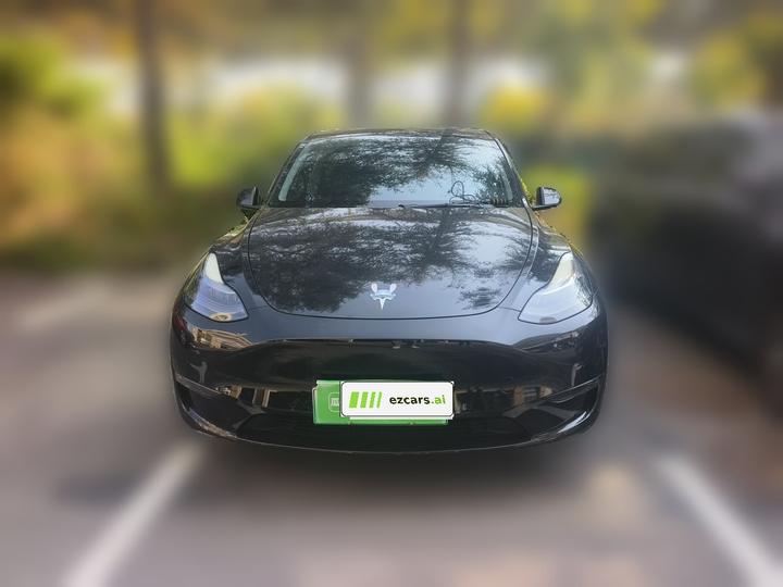 Model Y 2021 Standard Range RWD photo 2