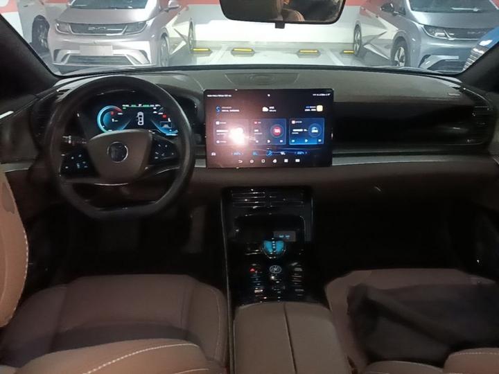 Han 2021 EV Standard Range Luxury photo 5