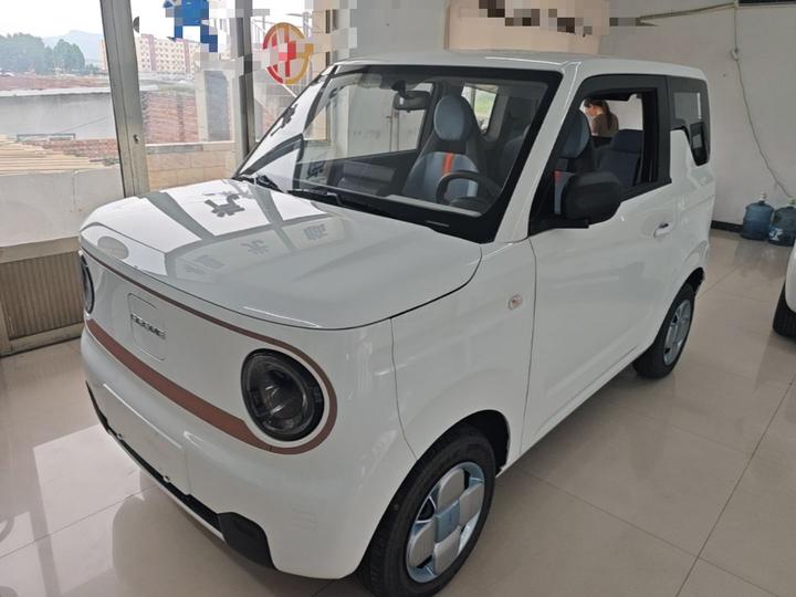 2024 Panda mini 200km Endurance Bear