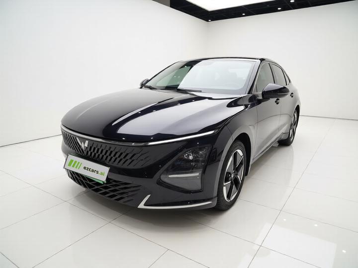 Wuling 2024 150 Pilot