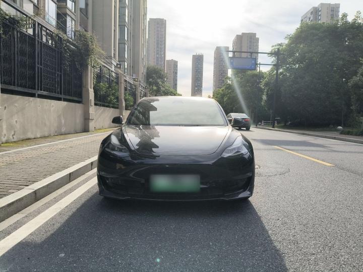 Model 3 2021 Performance AWD photo 2