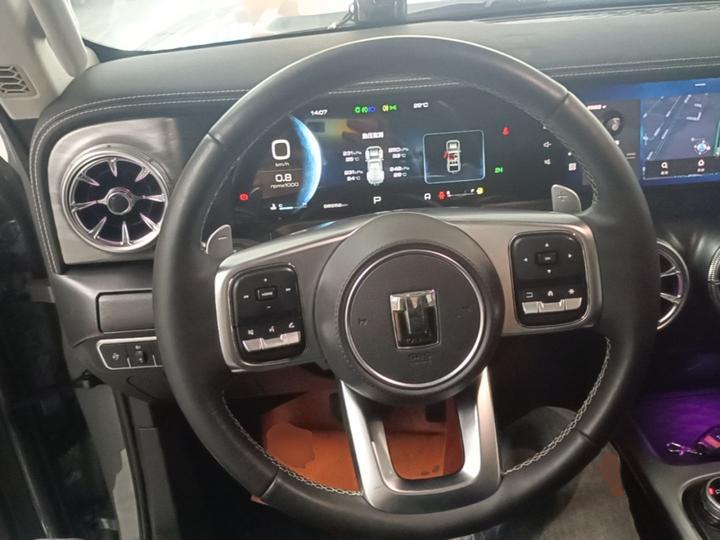 300 2021 Off-road 2.0T Conqueror photo 6
