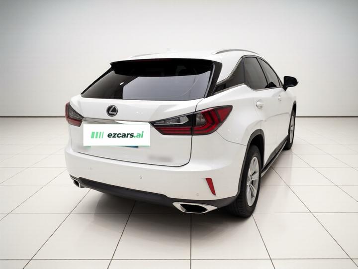 RX 2016 300 RWD Elite China V photo 6