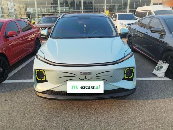 E Firefly 2023 401KM 5-Seater photo 2