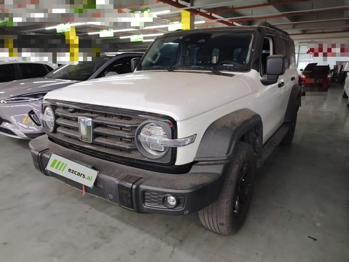 300 2021 Off-road 2.0T Conqueror
