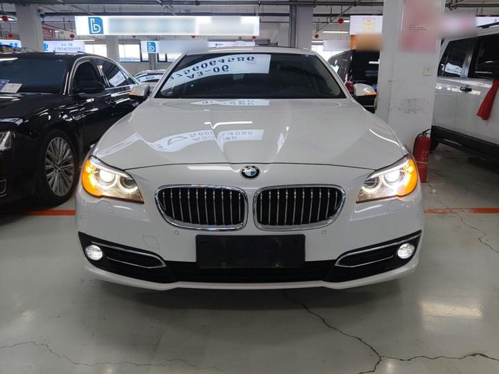 5 Series 2017 525Li Luxury Design Package photo 2