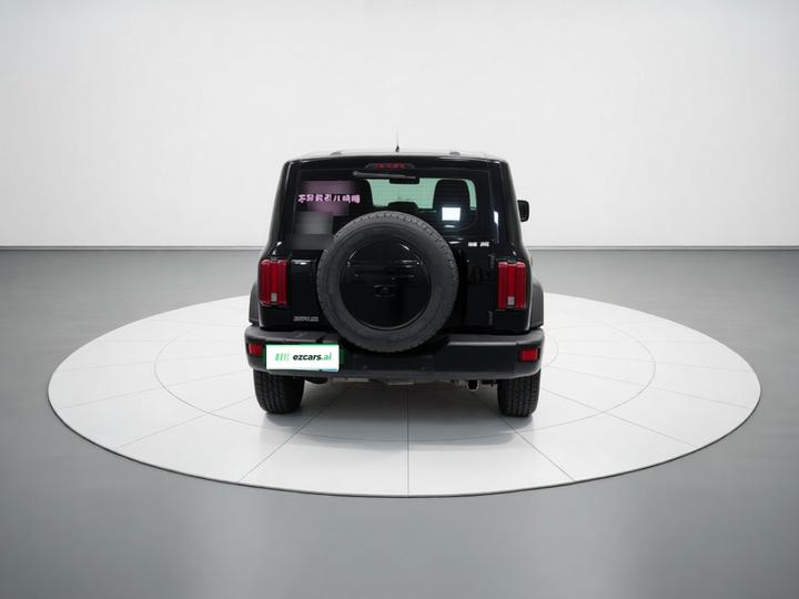 300 2021 Off-road 2.0T photo 5