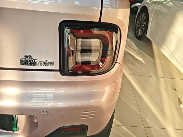 2023 Panda mini 200km Endurance Bear photo 7